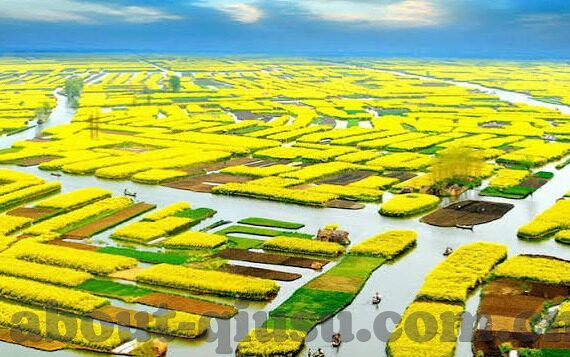 8月31足球比分-8月31日足球比分全景，激情碰撞与悬念迭起的绿茵盛宴
