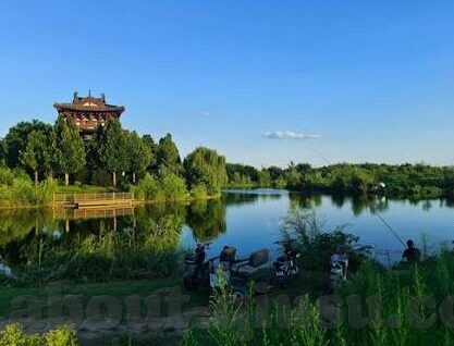 德国韩国世界杯交战史-德国与韩国在世界杯上的交战史，一场跨越国界的足球对决